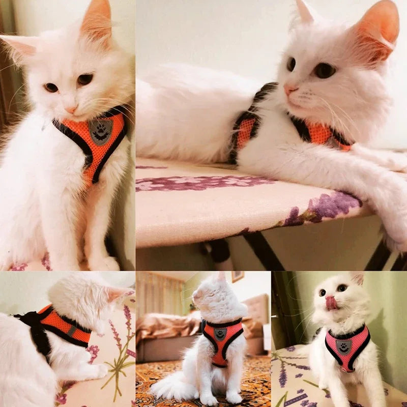 Pet Reflectible Vest Harness