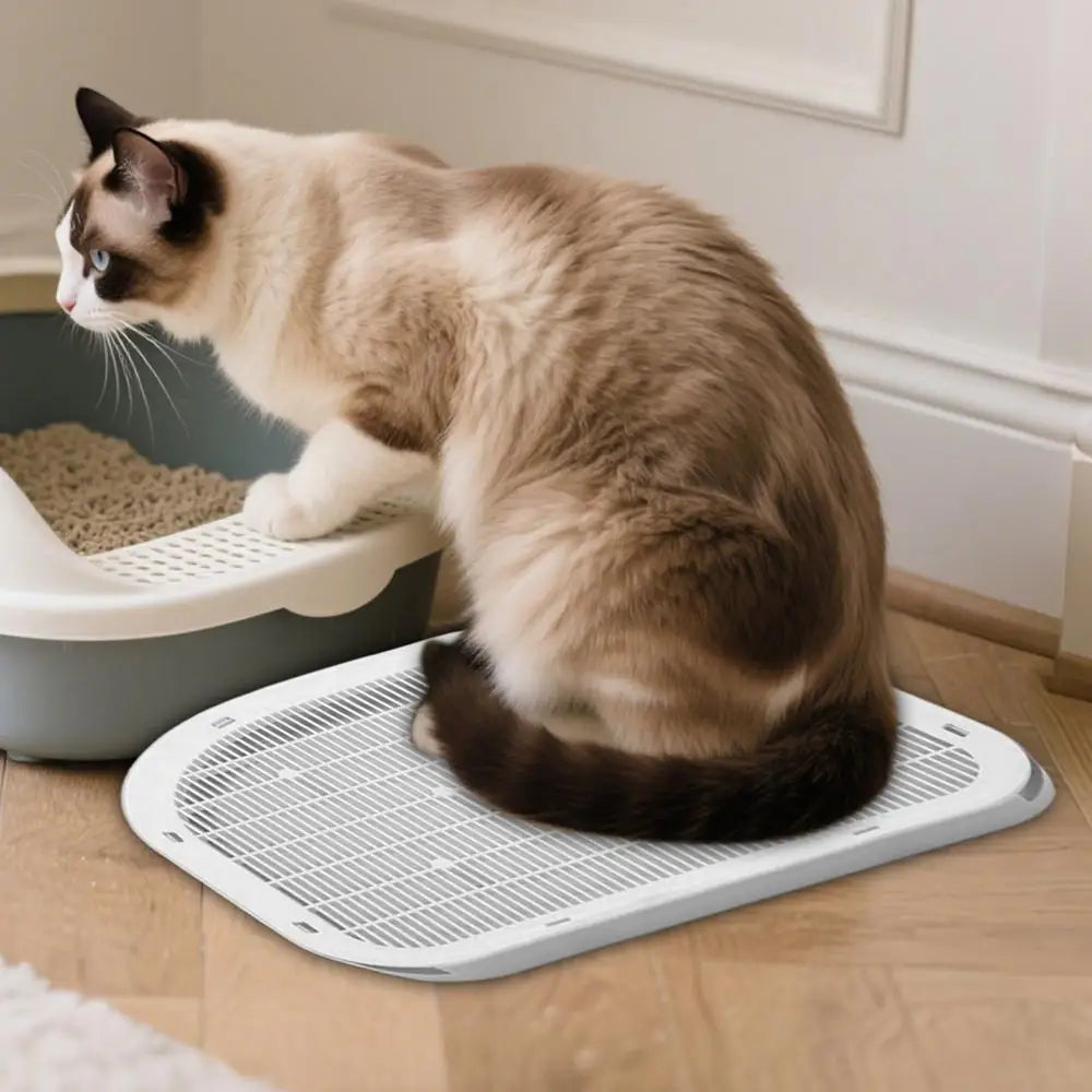 Litter Box Step Stool