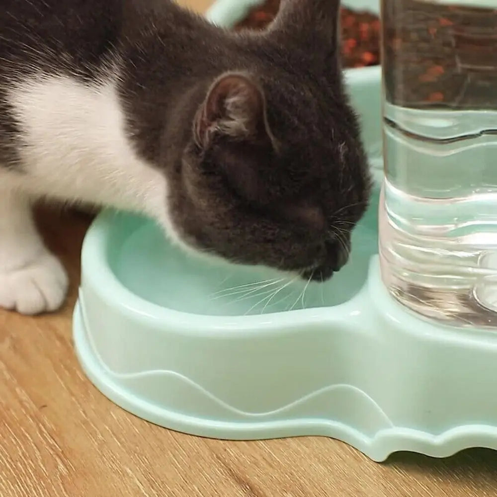 3.8L automatic Pet feeder/dispenser  and Water Fountain
