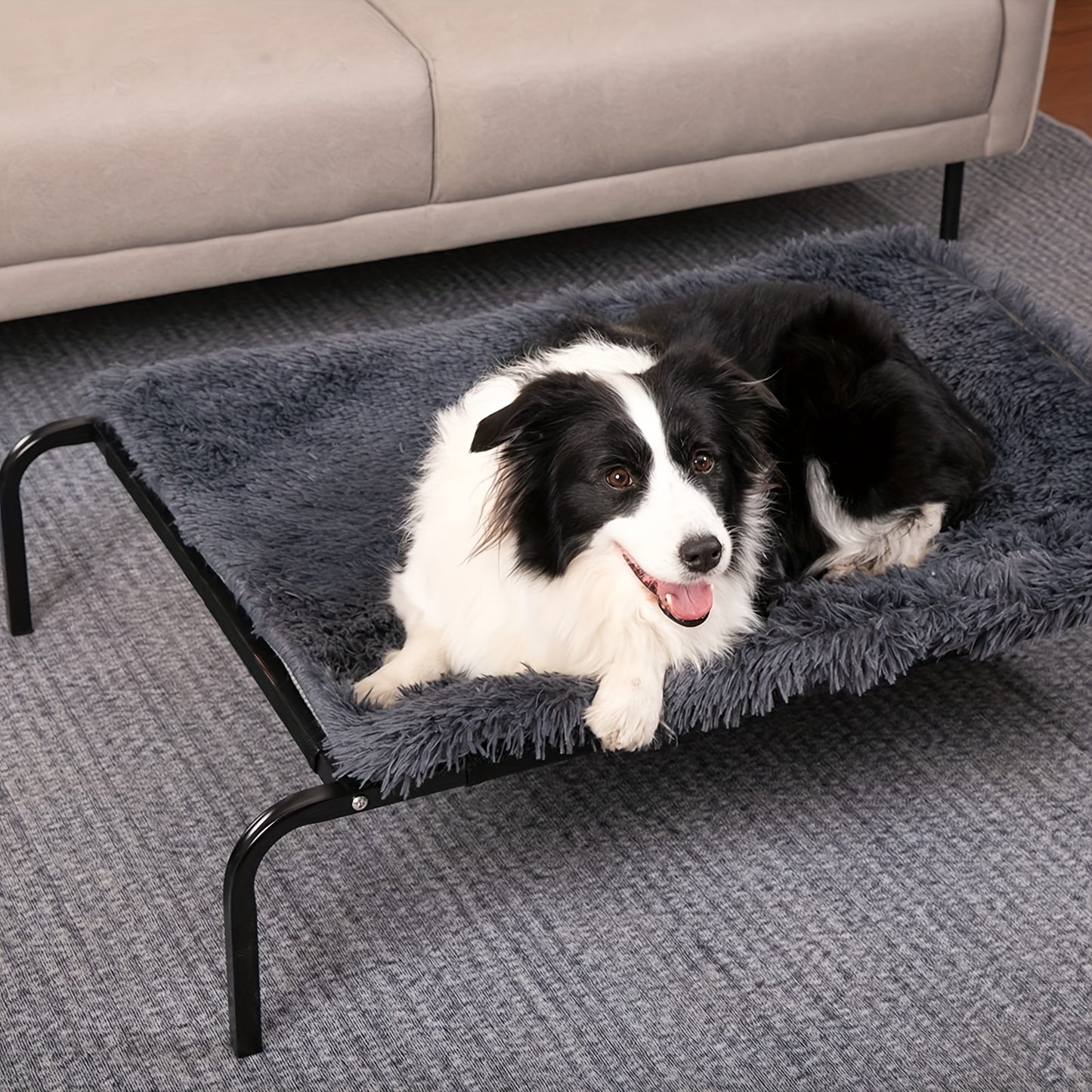 Outdoor Elevated Dog Bed