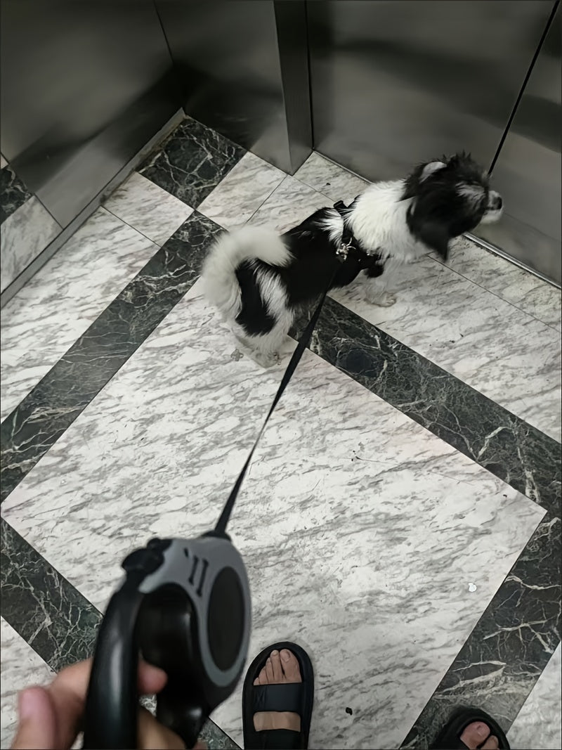 Double Switch Pet Retractable Leash