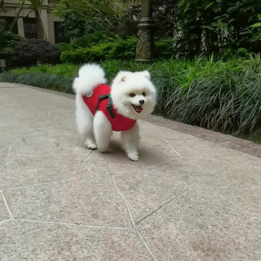 Reflective Winter Coat and Harness for Dogs and Cats