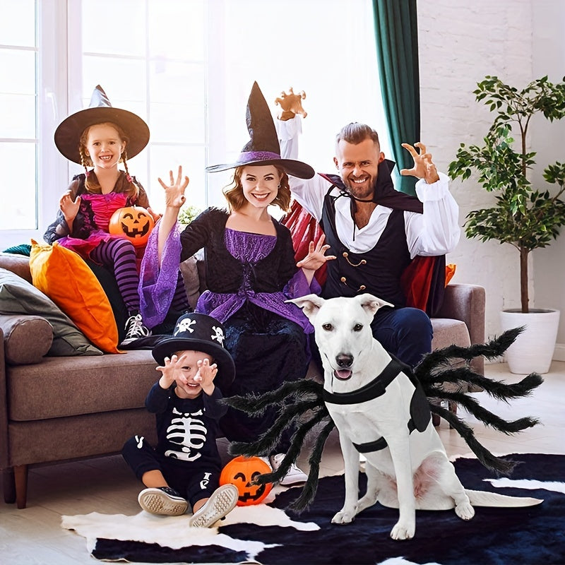 Halloween Spider Costume for Cats and Small/Medium Dogs