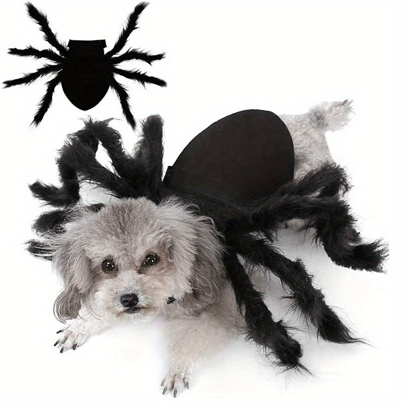 Halloween Spider Costume for Cats and Small/Medium Dogs