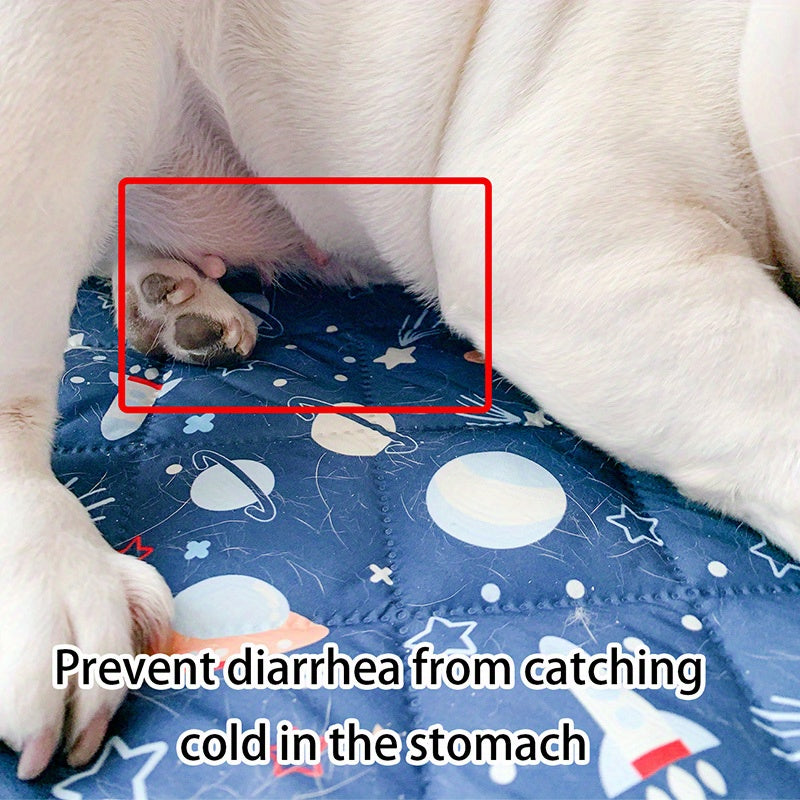 Thin Pet Sleeping Mats